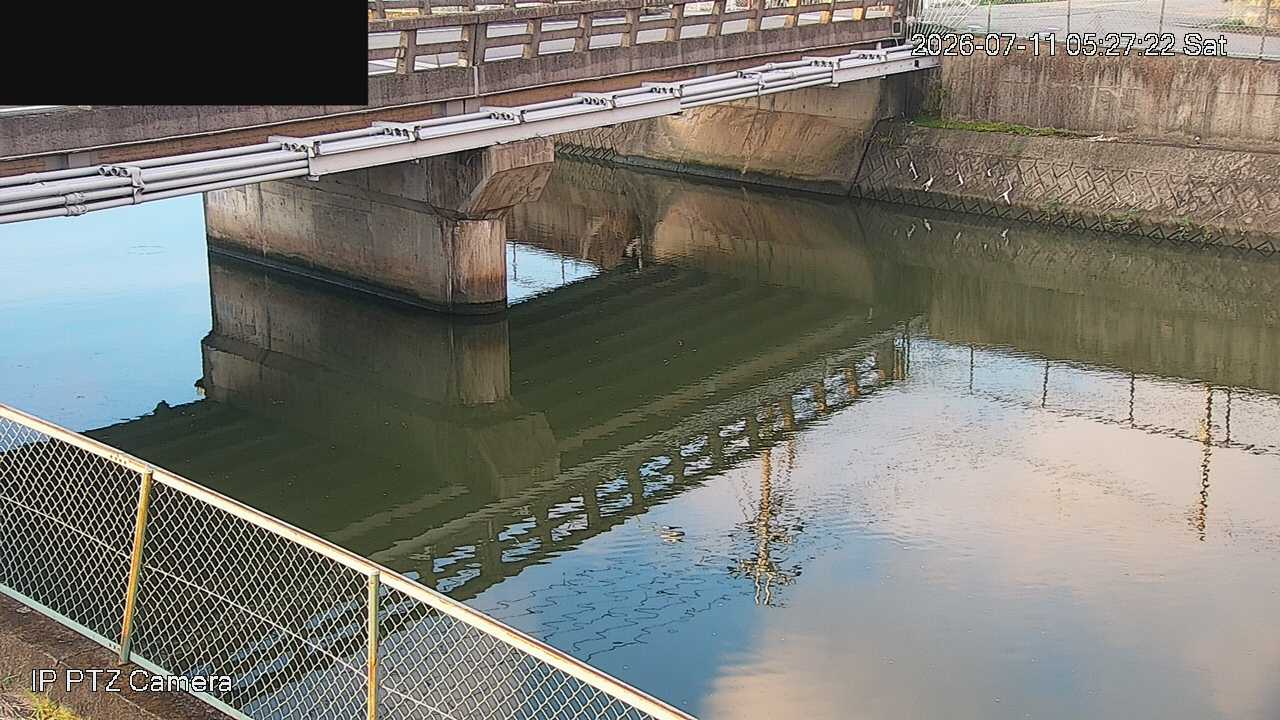 24時間前の画像