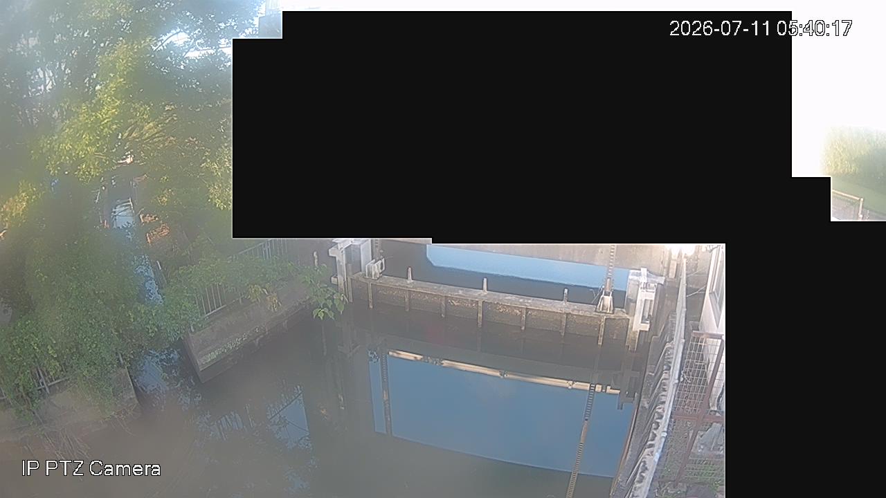 24時間前の画像
