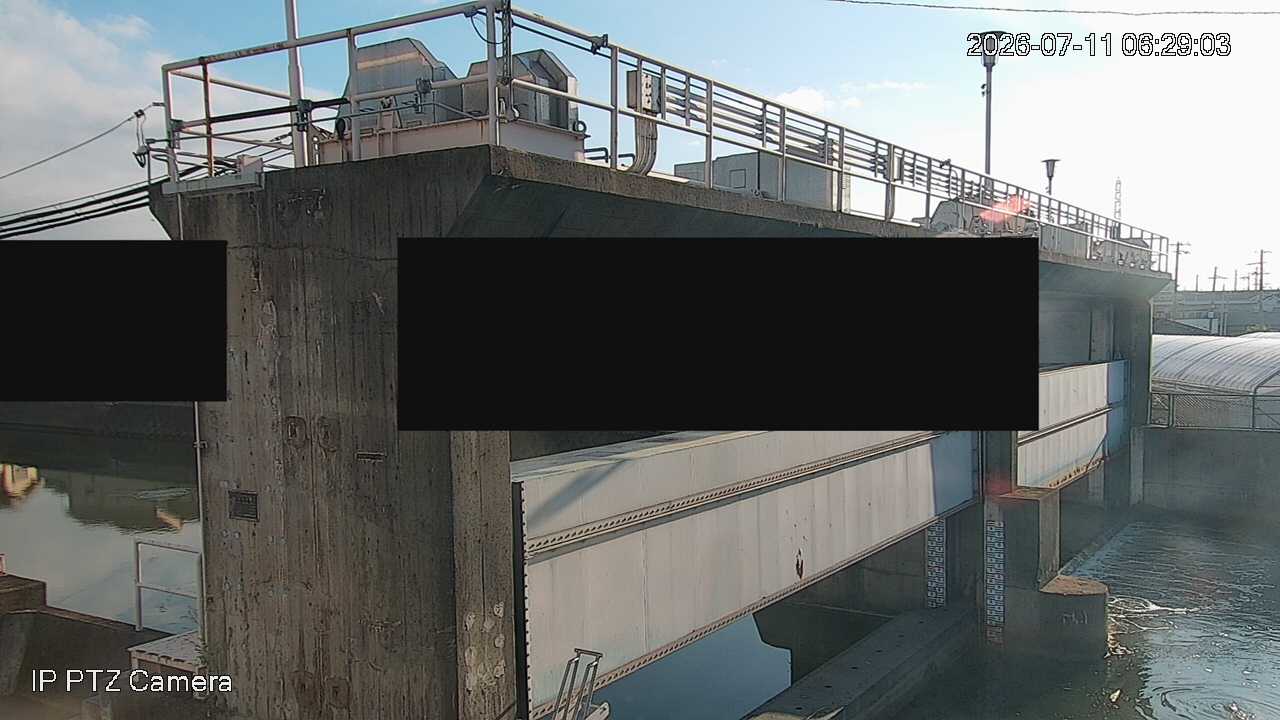 24時間前の画像