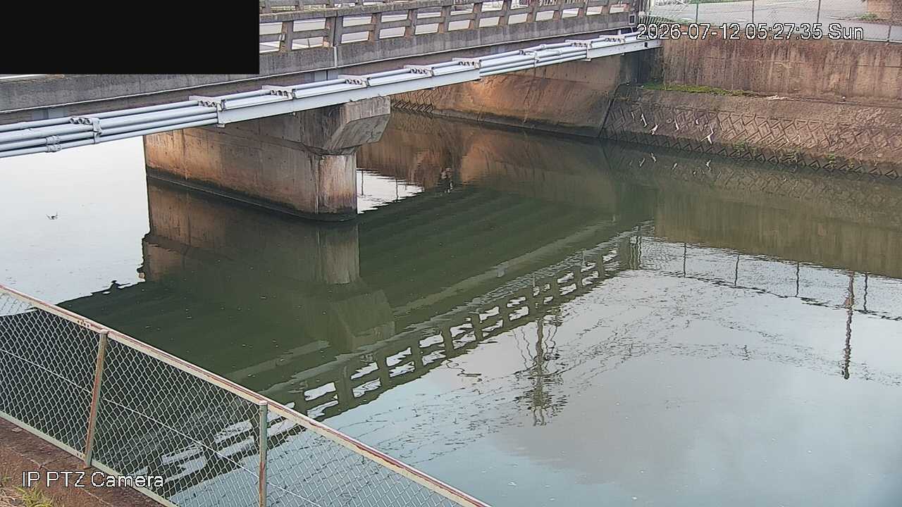 最新の画像