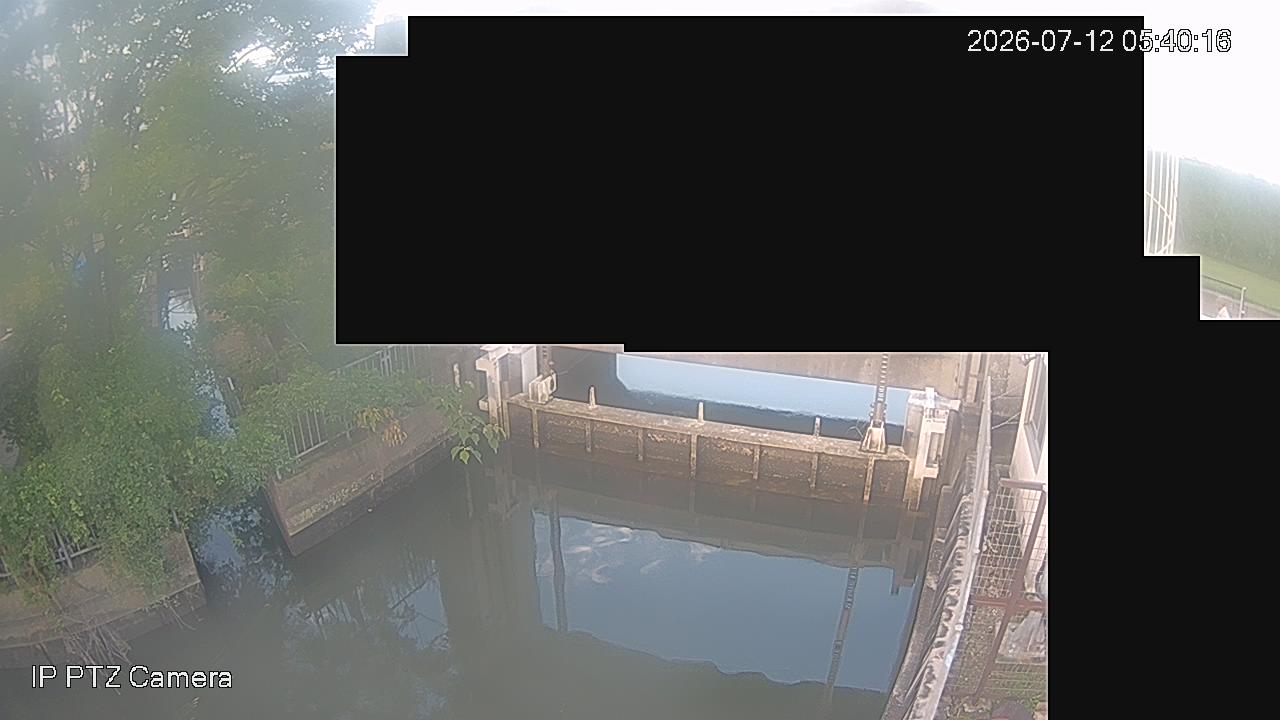 最新の画像