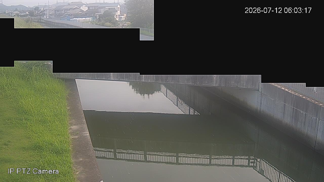 最新の画像
